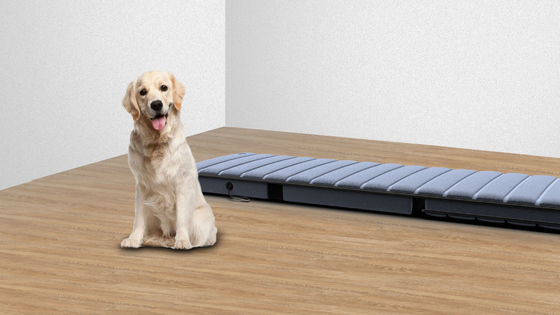 Control remoto colchón de masaje plegable cama de masaje portátil